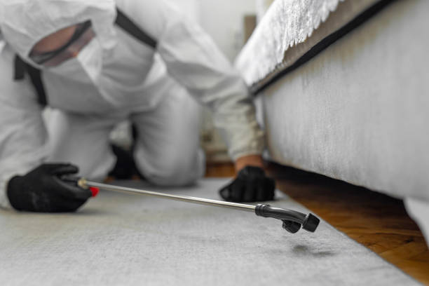 Professional Termite Control technician working in Brookmont, MD