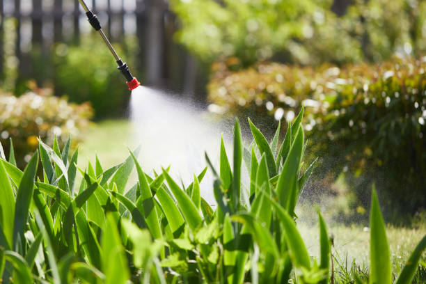 24/7 Emergency Termite Control experts in Brookmont, MD
